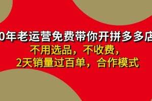 （11576期）拼多多-合作开店日入4000+两天销量过百单，无学费、老运营教操作、小白…