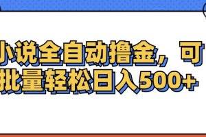 （12244期）小说全自动撸金，可批量日入500+