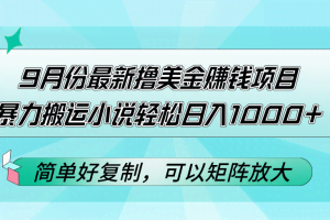 （12487期）9月份最新撸美金赚钱项目，暴力搬运小说轻松日入1000+，简单好复制可以…
