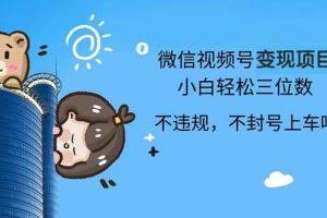 （13115期）2024最新微信视频号变现项目，小白轻松月入四位数