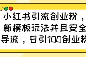 （14053期）小红书引流创业粉，新模板玩法并且安全导流，日引100创业粉