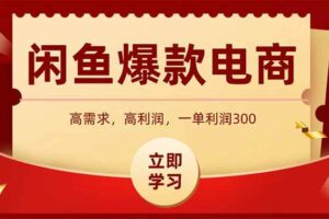 （15145期）闲鱼高利润电商，入门到出单只需3小时，每天利润1000