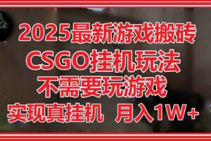 （14743期）2025最新游戏搬砖，CSGO挂机，不需要玩游戏，实现真挂机，月入1W+