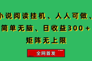 （15413期）小说挂机阅读，人人可做，简单无脑，一天收益300＋矩阵无限上