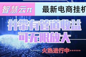 （15314期）智慧云π电脑挂机单机每天收益300—500+ 并带有团队管道收益 可无限放大