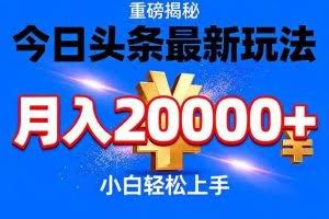 （17112期）今日头条代运营最新玩法，轻轻松松月入20000＋