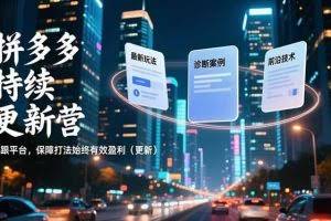 （16987期）拼多多持续更新营，最新玩法、诊断案例、前沿技术，紧跟平台，保障打法始终有效盈利（更新）