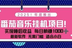 （16835期）全新平台，蓝海时期！2025年年底番茄音乐挂机项目，每天几分钟，月入1000＋，可矩阵