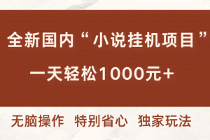 （16833期）全新国内小说挂G项目，多窗口无脑跑，一天轻松1k+，特别省心【揭秘】