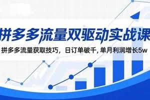 （16563期）拼多多流量双驱动实战课：拼多多流量获取技巧，日订单破千,单月利润增长5w
